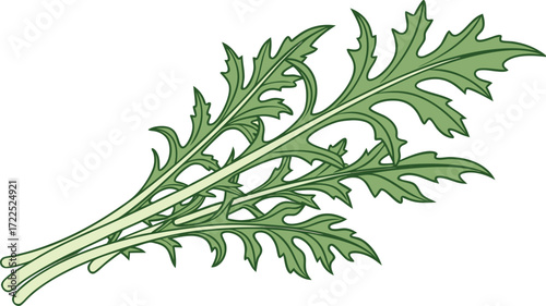 A single green vegetable set against a white background, emphasizing its natural freshness and vivid hue.