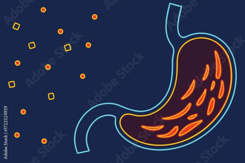 Stylized Stomach with Digested Food and Nutrient Particles digestion digestive system