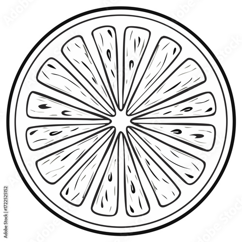 Stylized black and white outline drawing of a citrus fruit slice with segments and pulp detail.