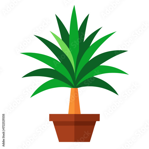 Dracaena plant vector on white background.