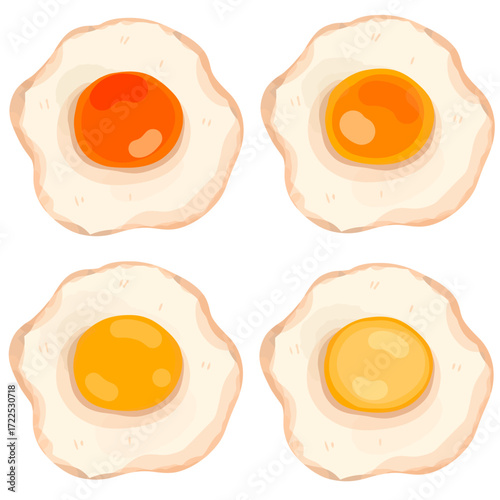 Vector illustration set of four different cooked fried eggs.