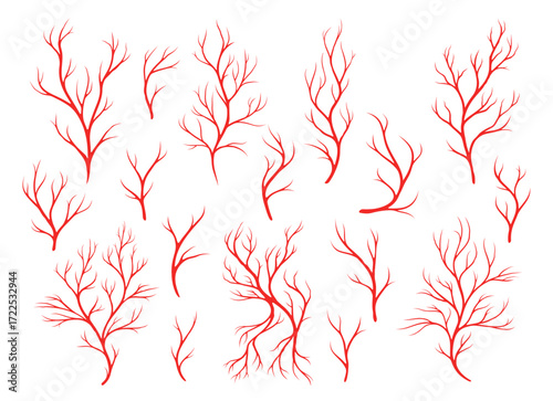 Red veins, human blood vein artery and capillary. Medical vector set of red vein and artery branches, representing human blood vessels, cardiovascular systems and capillaries with branching patterns