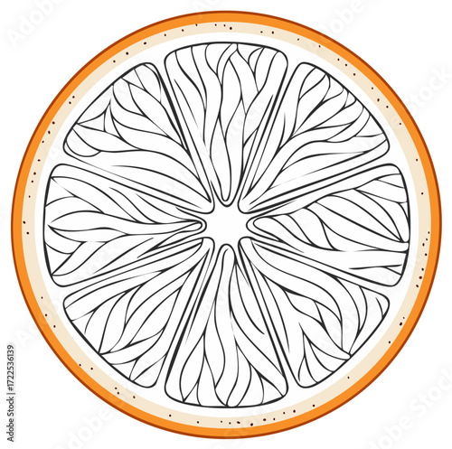 Detailed orange fruit slice illustration, fresh vibrant citrus segment cross section