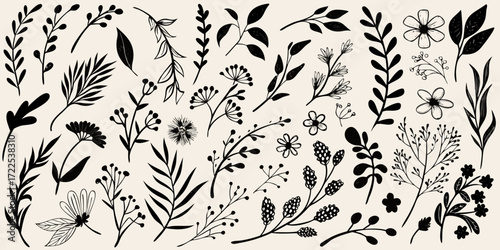 Collection of hand drawn black botanical elements and flowers on a cream background