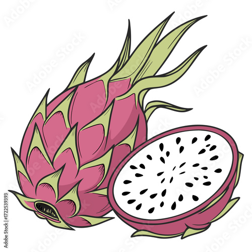 Fresh Dragon Fruit on Transparent White Background