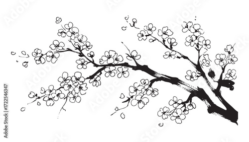 japan sakura abstract brush sketch illustration