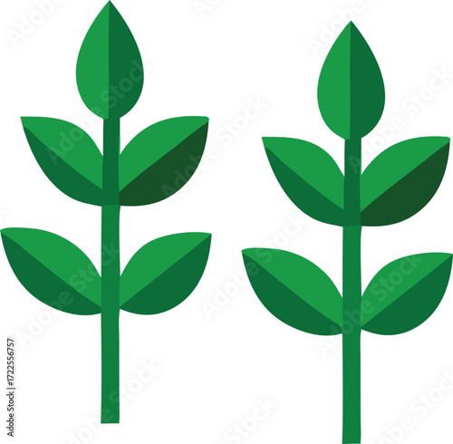 Two green leafy branches symbolizing growth nature agriculture and organic life forms for your projects