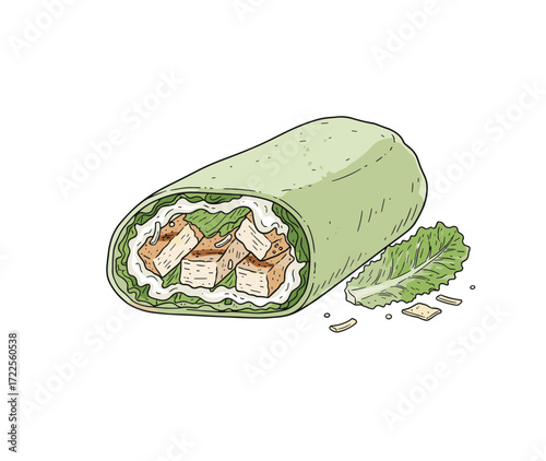 Handdrawn Color Detailed Chicken Caesar Salad Wrap Delicious Food Item
