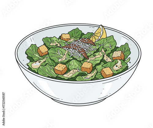 Fresh Line Art Caesar Salad Bowl Recipe Illustration Graphic Element