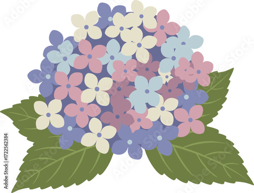 Flat Color Blooming Hydrangea Flower with Green Leaf Illustration Graphic