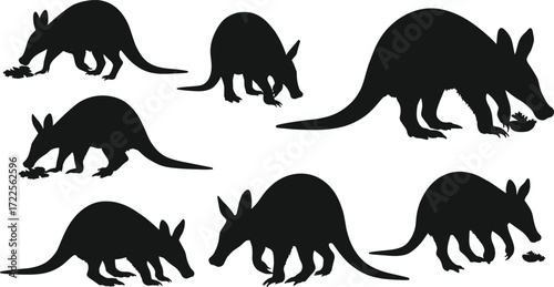 aardvark silhouette, animal vector, wildlife clipart, flat vector, aardvark artwork, black aardvark, animal silhouette, rodent shape, woodland animal, nature icon
