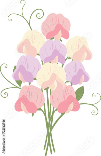 Elegant Flat Sweet Pea Flower Bouquet Illustration for Spring Wedding Decoration