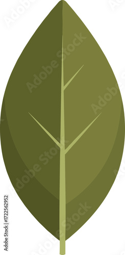 Minimalist Style Simple Olive Green Leaf with Veins Nature Illustration