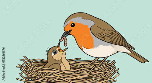 Robin feeding a worm to its baby bird in a nest.