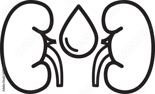 Illustrative kidneys with a water drop promoting renal health awareness, a modern medical symbol for urology and nephrology concepts