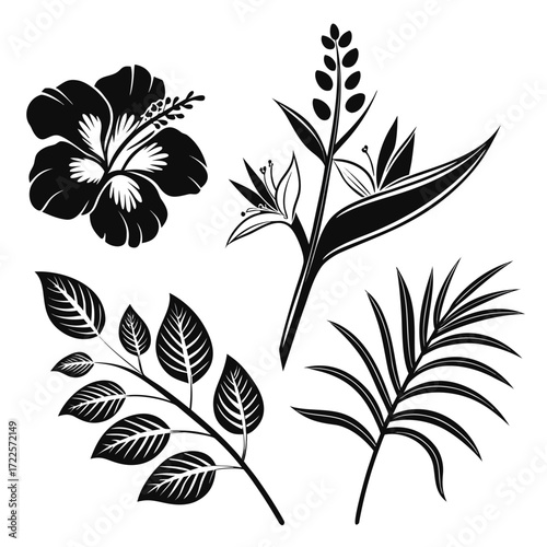 black and white silhouettes of flowers set