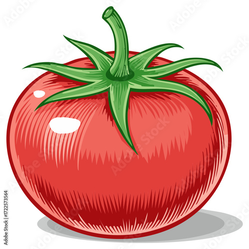 Illustration of a ripe tomato with green leaves and a stem, a healthy and fresh vegetable.