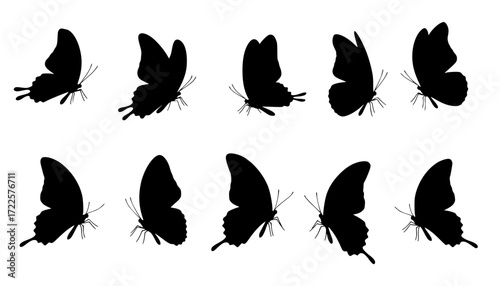 A clean vector set of butterfly butterfly silhouettes in various poses on a clean white background vector style
