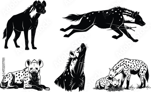 Hyena wildlife illustration set, African predator silhouettes, animal behavior poses, social interaction, hunting, resting, grooming, calling, nature art vector
