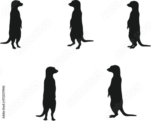 meerkat silhouette, animal vector, wildlife clipart, flat vector, black meerkat, animal silhouette, woodland mammal, nature icon, social mammal, standing pose