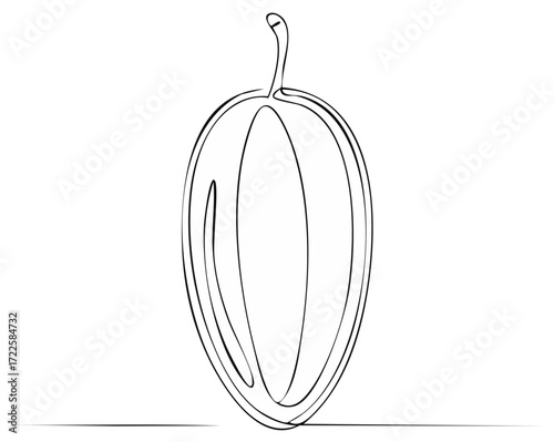 Single line drawing of a plum or mango fruit with a stem isolated on white