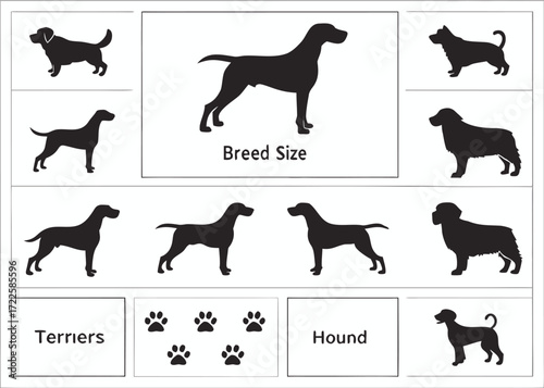 Silhouettes of Various Dog Breeds and Paw Prints with Text Labels size terriers