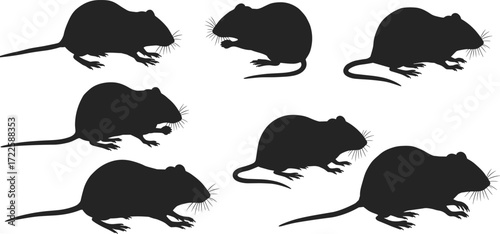 Rat wildlife silhouette set, small mammal poses, standing, feeding, running, nature vector art, animal sketch, pest control, zoology illustration