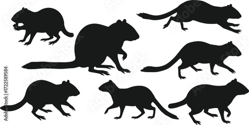 Rodent silhouettes collection, black animal shapes, vector wildlife illustration, rat beaver squirrel mouse outline, nature design, isolated mammals graphic