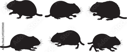 Rodent wildlife silhouette set, small mammal poses, mouse, rat, gerbil, standing, feeding, running, nature vector art, animal sketch, zoology illustration