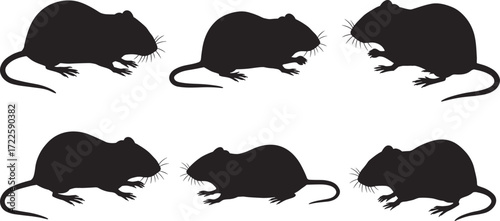 Rodent wildlife silhouette set, small mammal poses, mouse, rat, standing, feeding, running, nature vector art, animal sketch, zoology illustration