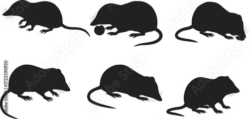 Silhouette rats, silhouette mice, rodent vector, black animal shapes, pest control design