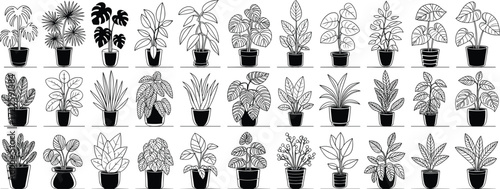 Indoor houseplants, potted plants, tropical leaves, decorative greenery, botanical illustration, home gardening, plant collection, nature decor, modern house plant design, eco lifestyle