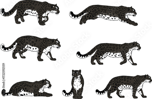 snow leopard silhouette, big cat vector, wildlife clipart, flat vector, black leopard, animal silhouette, endangered species, nature icon, walking leopard, feline artwork