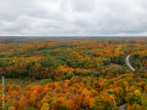 North Frontenac Ontario Canada Fall Colours