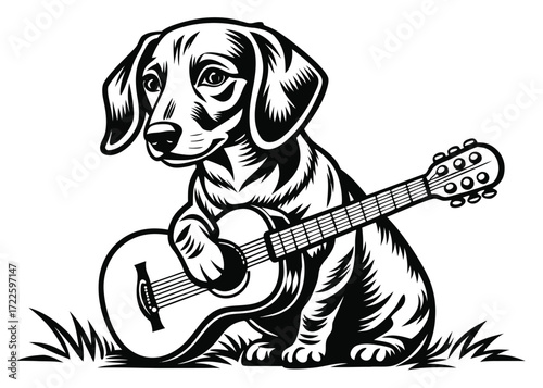 Dachshund Puppy Sitting and Playing an Acoustic Guitar on Grass sausage dog