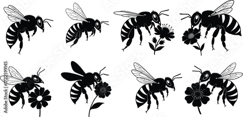 Bee silhouette vector collection, honey bees on flowers, pollination clipart design, flying insects, floral nature graphics, black and white illustration