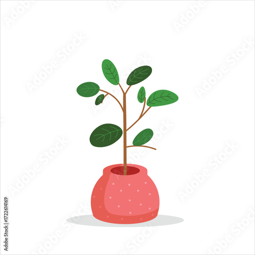 Rubber Plant Decorative Plant on a Pot Colored Flat Illustration