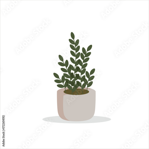 Zamioculcas Decorative Plant on a Pot Colored Flat Illustration