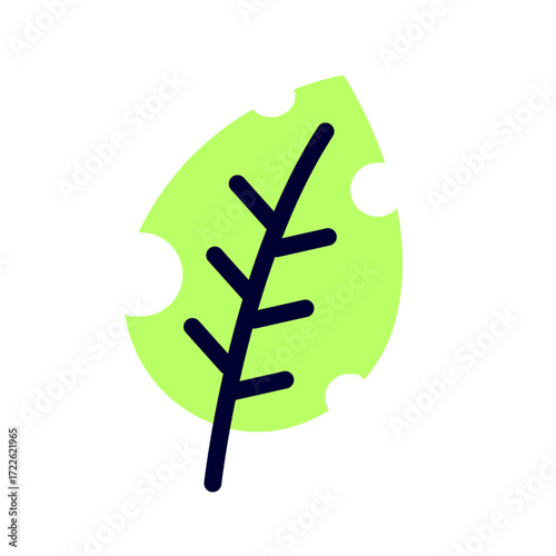 Green leaf with holes. Nature, plant, outdoor, garden concepts. Flat decorative vector design isolated illustration.