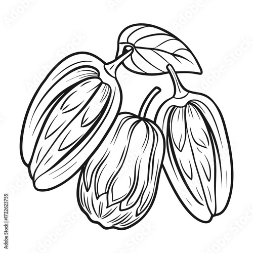 dat fruit line art on white background