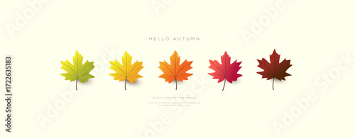 Autumn banner background design with colorful maple leaves in gradient shades from green to brown and discount promotion perfect for seasonal advertising and marketing use