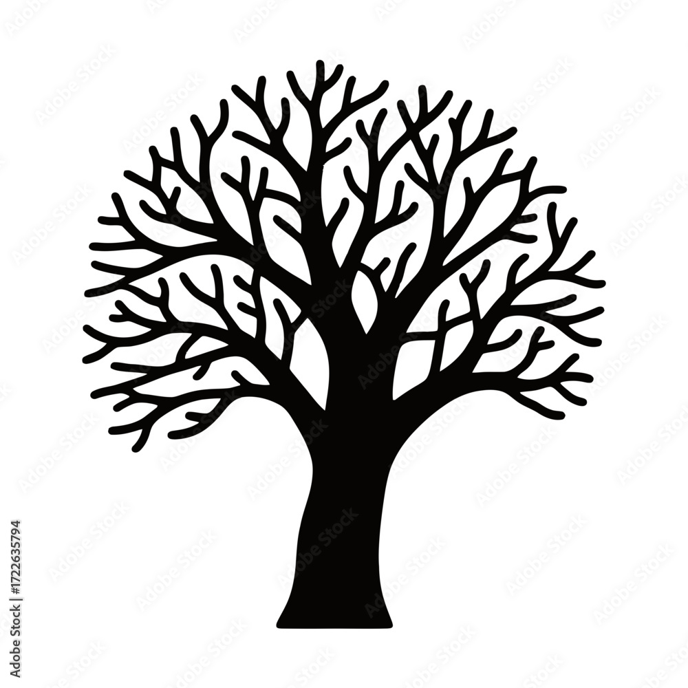 Obraz premium Striking Silhouette of a Bare Deciduous Tree with Intricate Branches, Representing Nature's Resilience