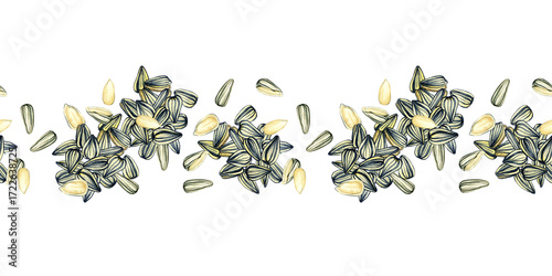Seamless border, horizontal endless pattern, ornament, banner, template. A pile of organic sunflower seeds, nutritious and delicious healthy food, vegan, organic. Hand drawn watercolor illustration.