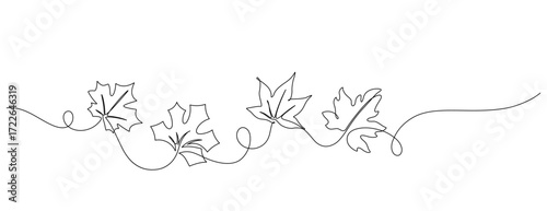 continuous line drawing of autumn leaves handdrawn