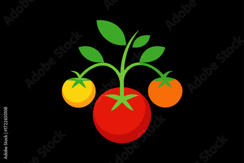 tomato plant portrait with vibrant fruit against b