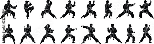 Martial arts silhouettes, karate poses, taekwondo stances, fighting techniques, uniformed figures, dynamic kicks, defensive moves, combat icons, training graphics, belt ranks