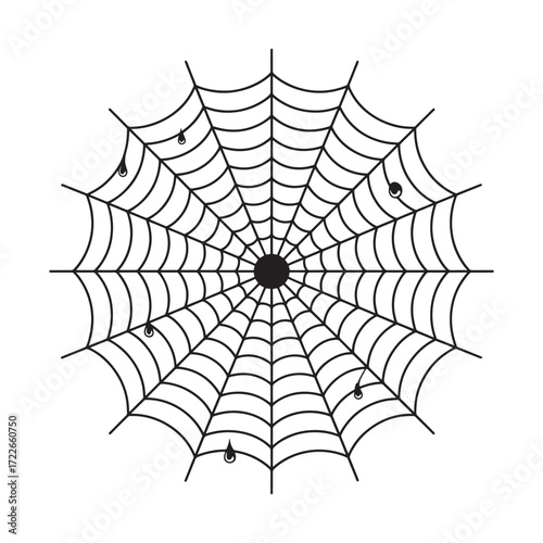 Spider web silhouette with water drops halloween decoration