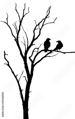Two silhouette ravens perched on bare branches of a stark tree, evoking a sense of mystery and autumn's arrival.