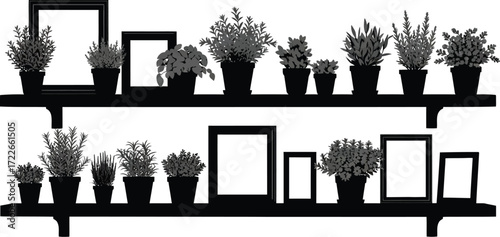 Two shelves of potted plants and picture frames, interior decoration