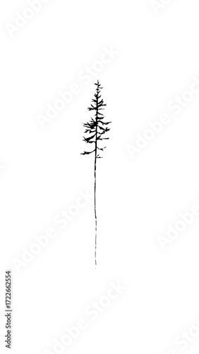 Minimalist black pine tree silhouette conveying solitude and the quiet beauty of nature, perfect for serene design themes